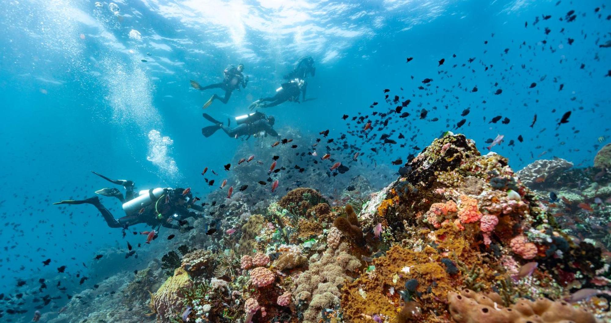 Casalay Boutique Villas & Dive Пуерто Галера Екстериор снимка